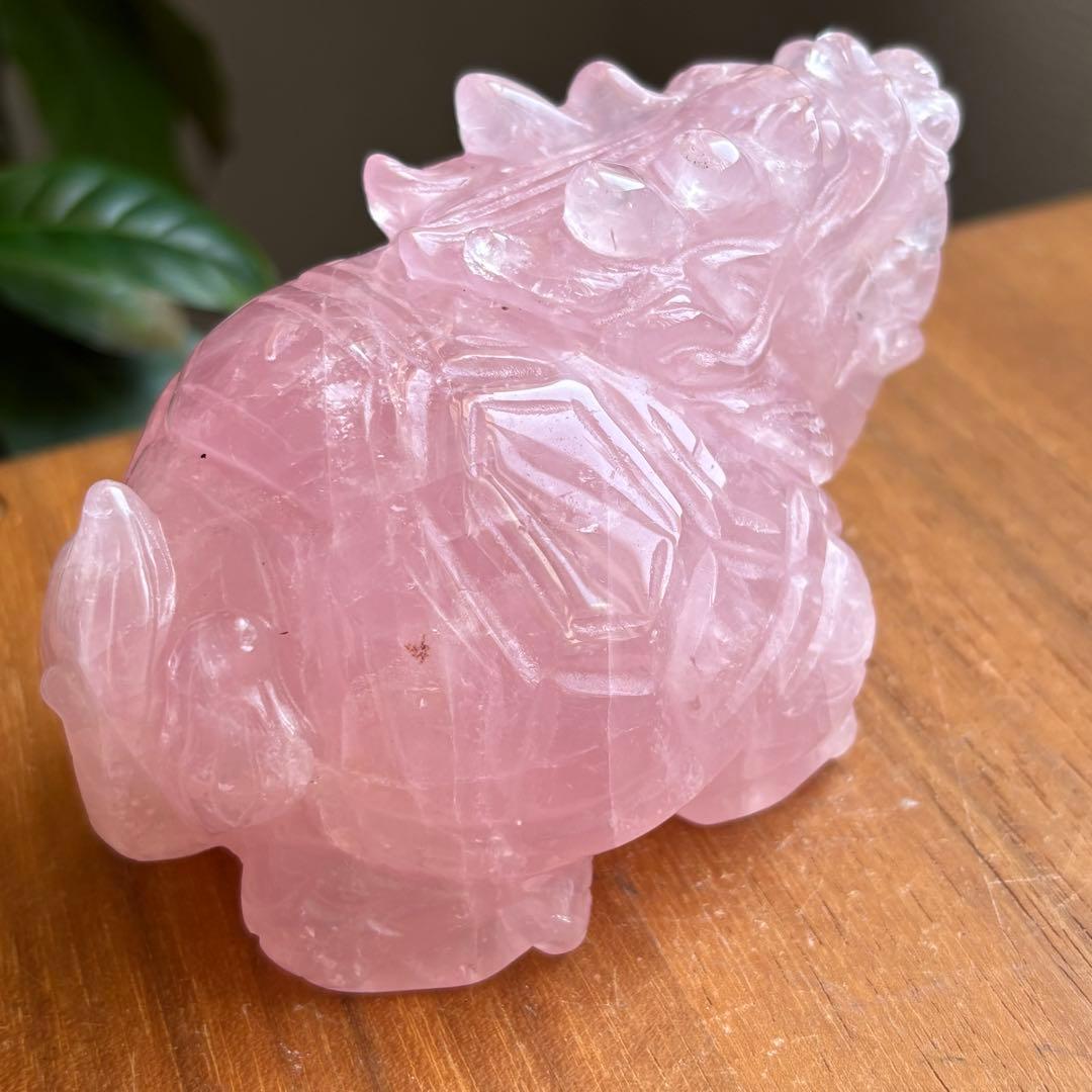 高品質 マダガスカル産 龍亀（ロングイ）置物490g