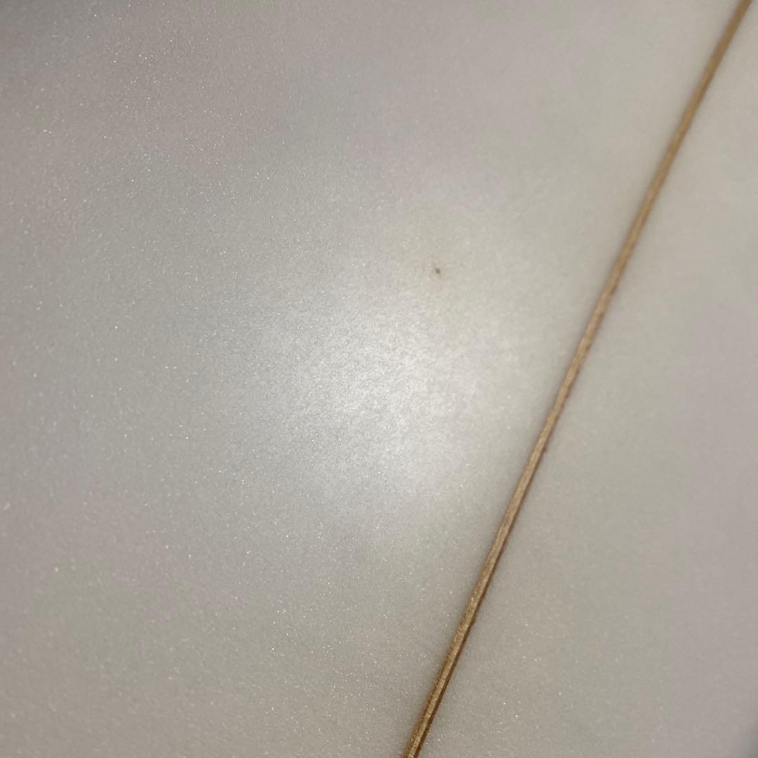 チャネルアイランド G-SKATE 5'8 ジースケート 茨城、栃木、埼玉