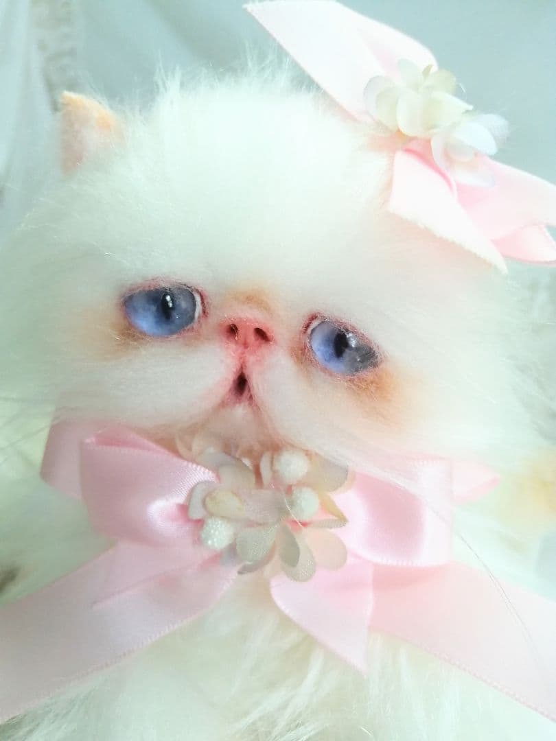 ６ヶ月♡子猫ちゃん♡エキゾチックロングヘア♡アートドール♡ぬいぐるみ♡綺麗な子♡