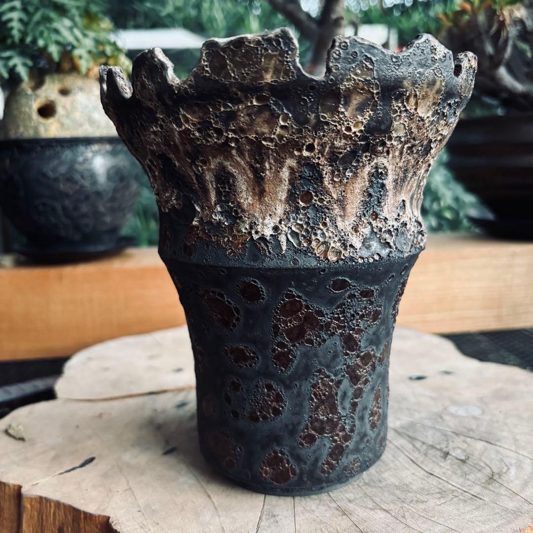 短期間限定大幅値下げ！中川智治 大鉢 ロングポット 灌木 パキプス コーデックス