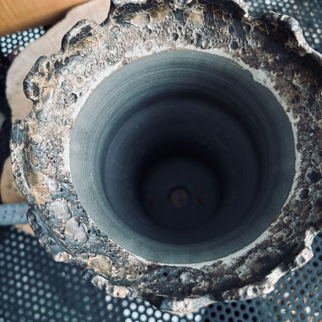 中川智治 大鉢 ロングポット 灌木 パキプス コーデックス 塊根 ユーフォルビア