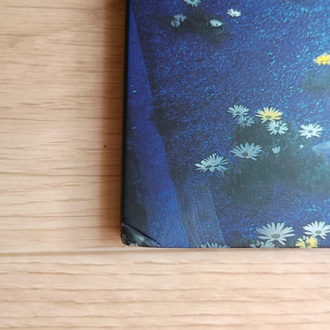 【LP】Southern All Stars　Young Love