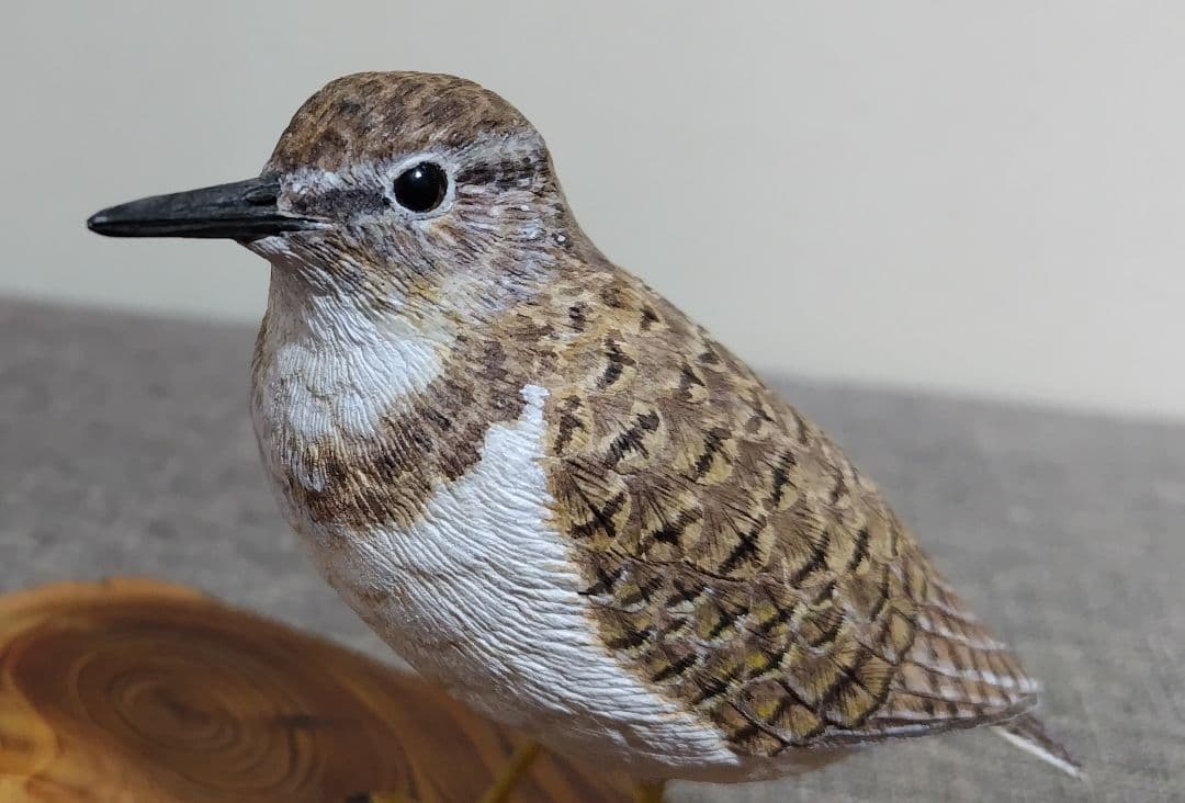 ミニバードカービング　\"イソシギ“