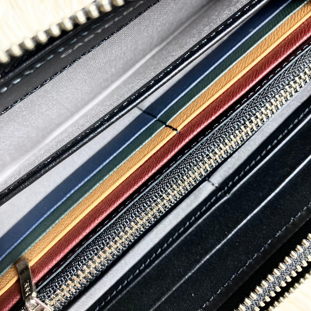 【未使用級】 カステルバジャック オーガナイザー ダブルファスナー