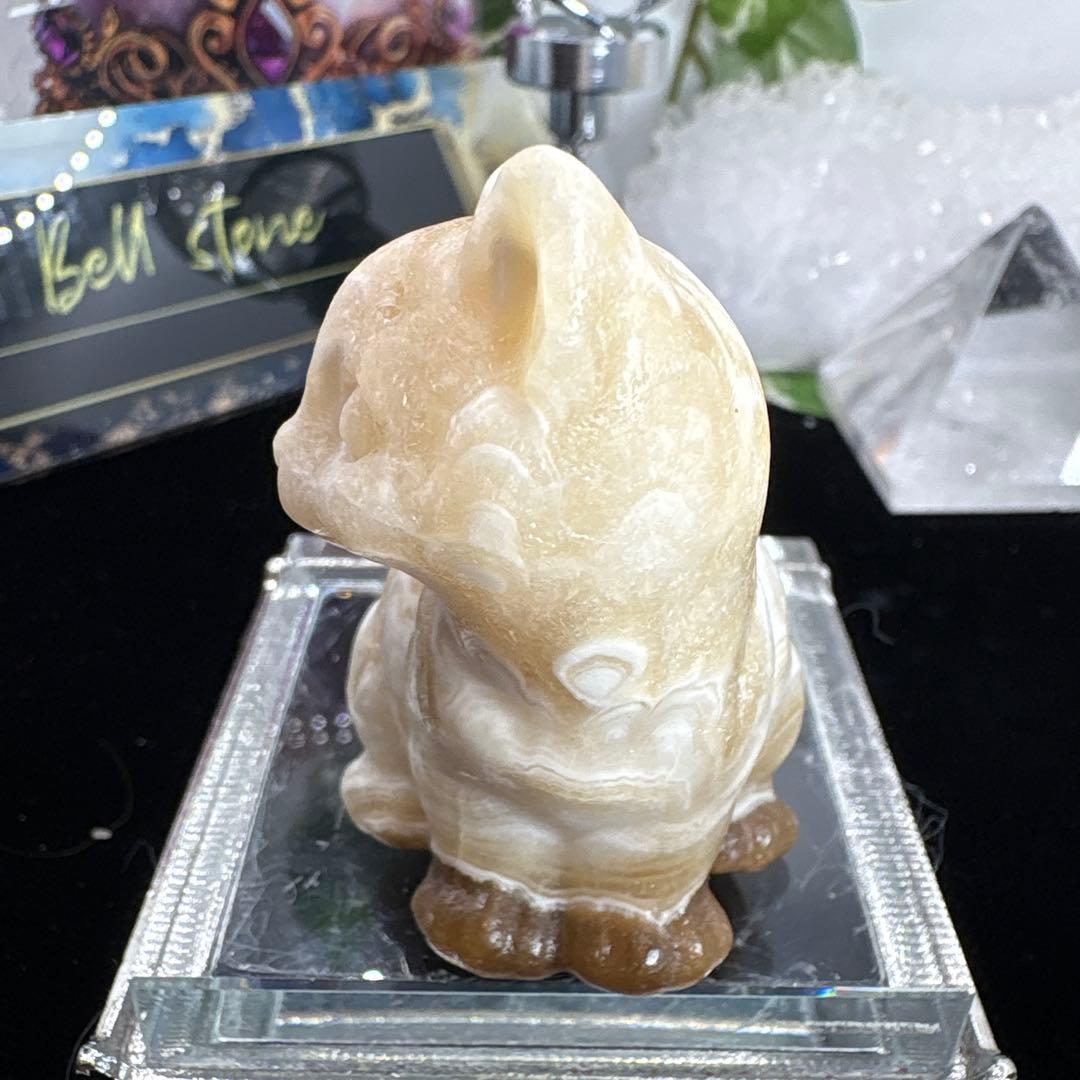 はち。様 アンバーフラワーカルサイト猫ちゃん♡No.1480