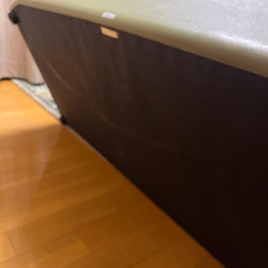 カリモク チターノ　 ソファ3人掛け　本革　グリーン