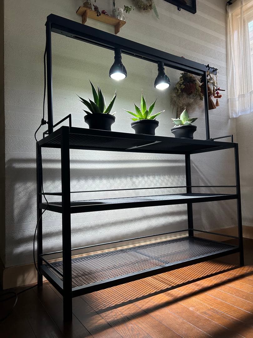 ☆送料込み☆アイアン植物棚　即購入OK ライトレール付　ボタニカル　アガベ