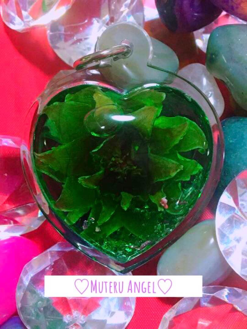 愛の花♡ ドークラックソーン　プラクルアン　緑　ハート