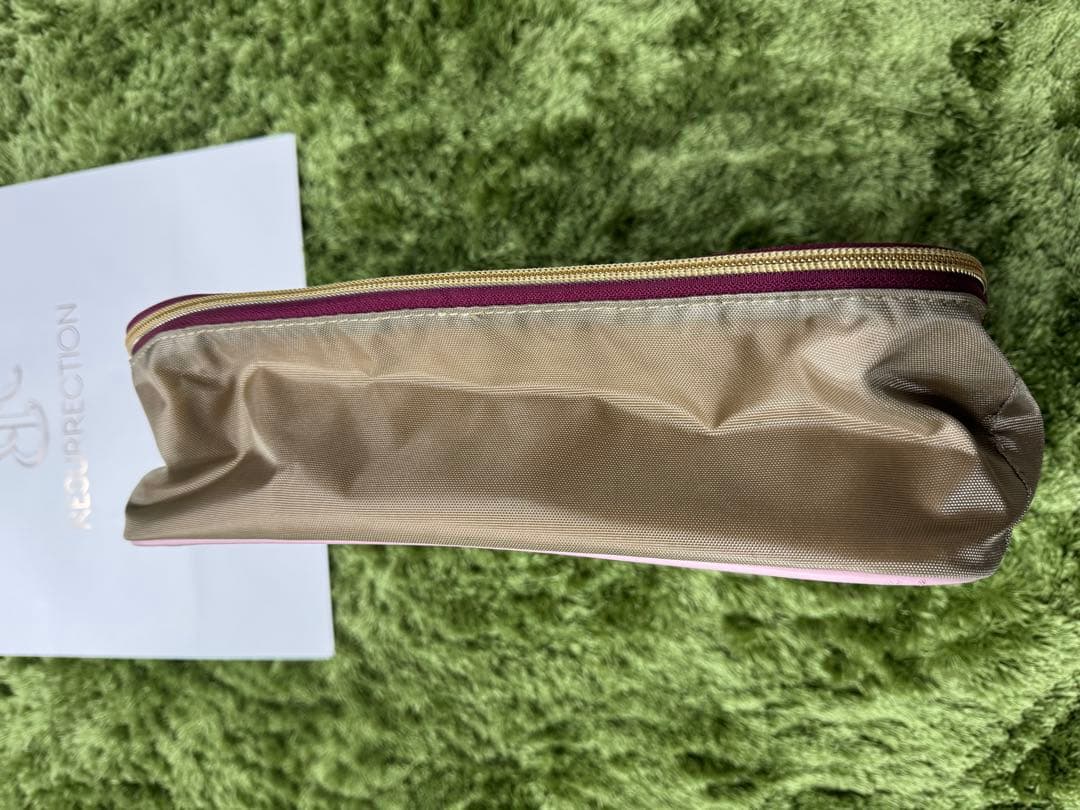 BV レザレクション シューズケース 入れ