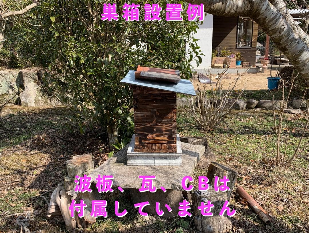 日本ミツバチ重箱式巣箱３段 × ２セット【組み立てキット】送料込