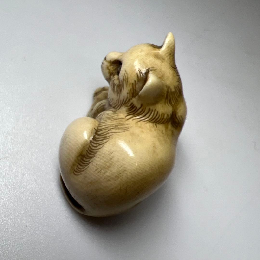 和之在銘　極上猫根付　木箱付　21g 東Y8-0205☆2Fトヒオ