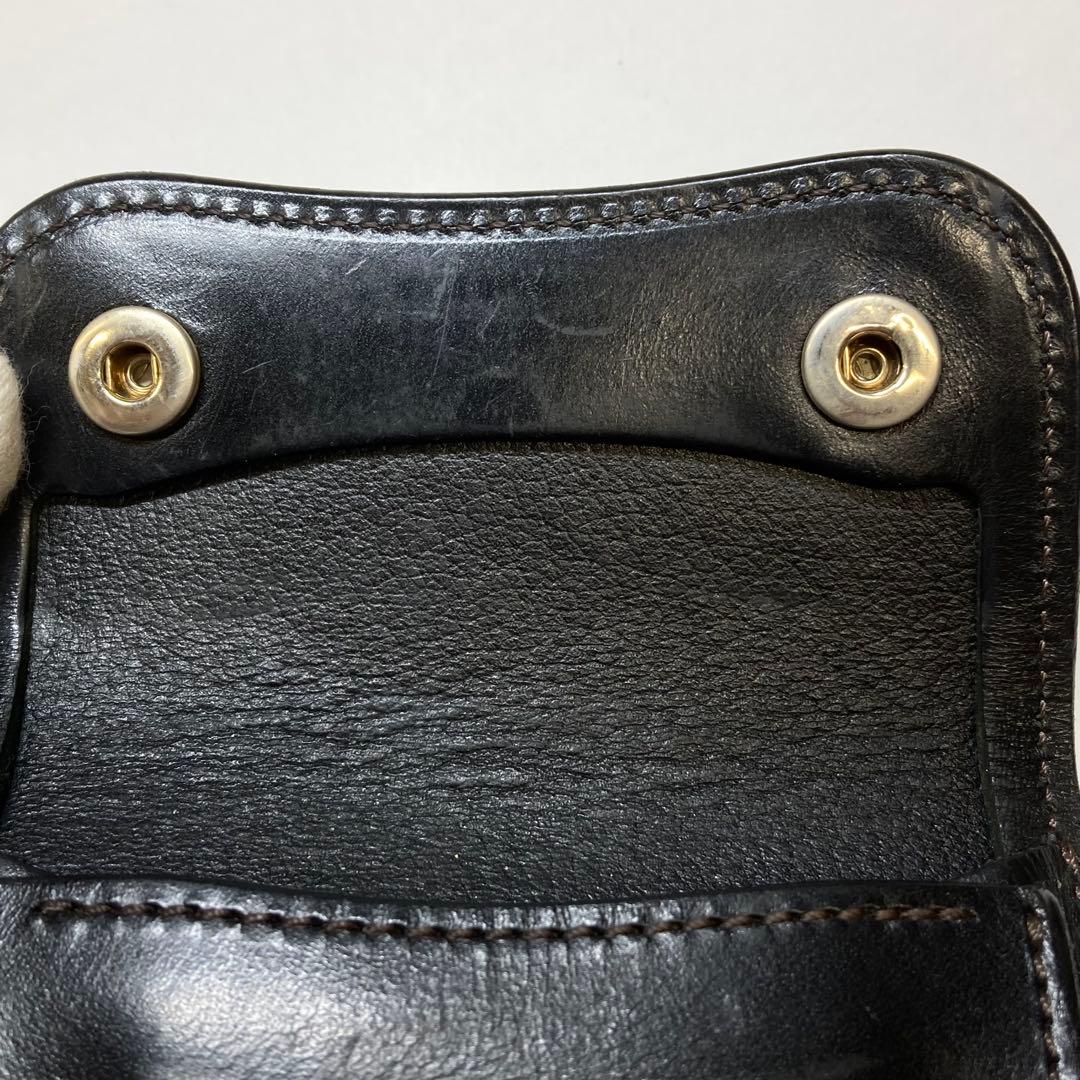 WILDSWANS ワイルドスワンズ ケース　　　　C998