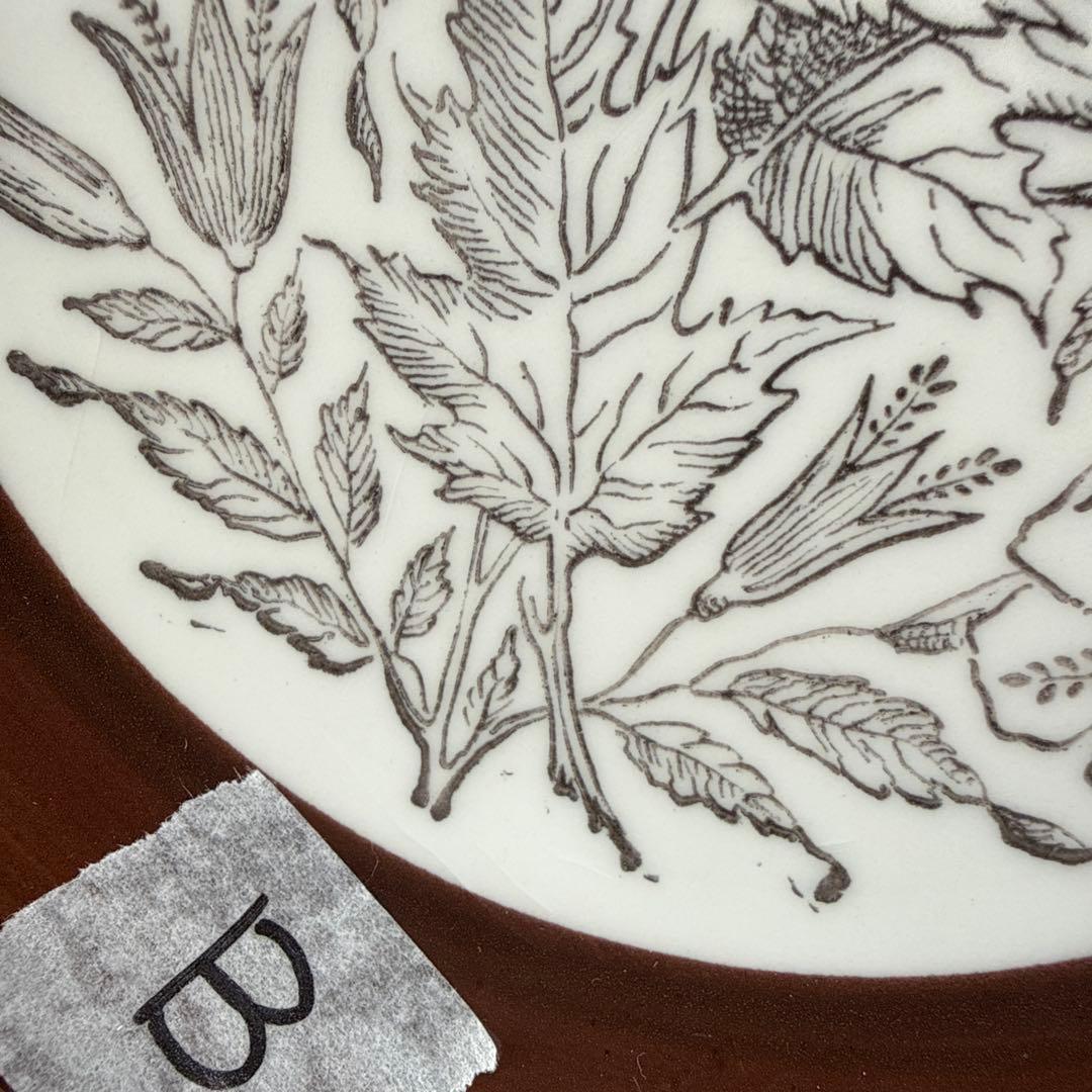 （ウプサラ・エケビィ）フォンタナ　ゲフレ　スーププレート5枚