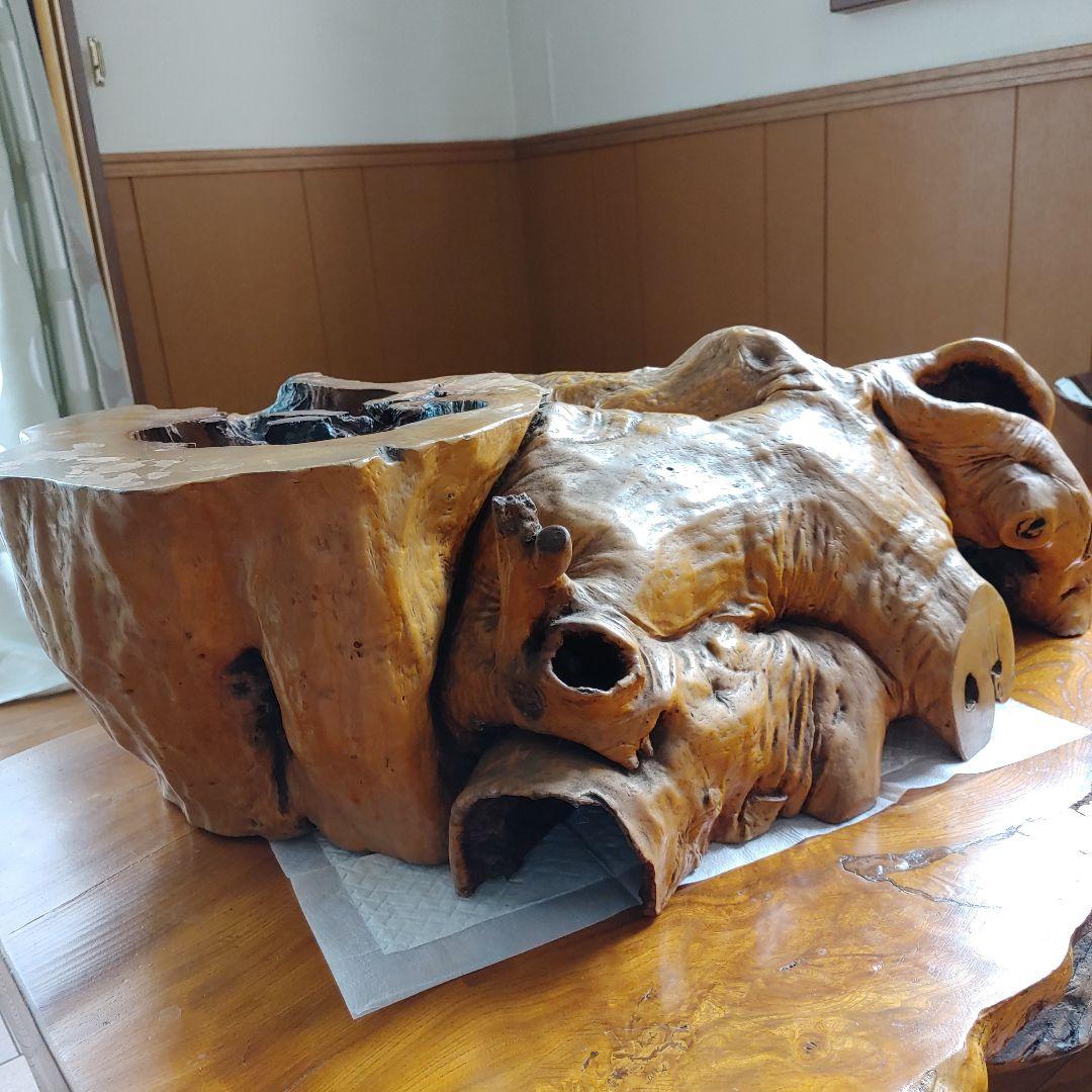 年代物の観賞木