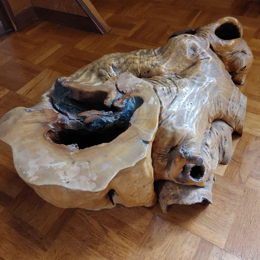 年代物の観賞木