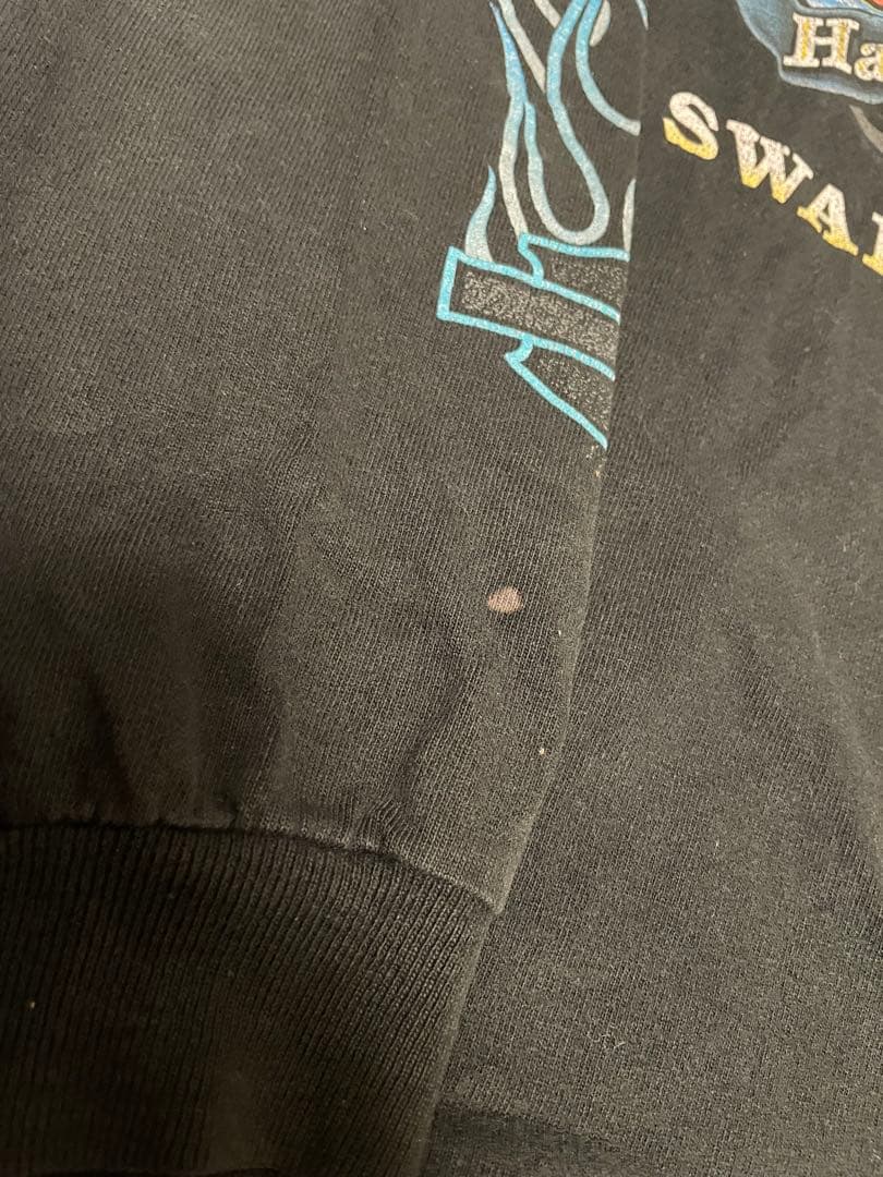 『入手困難』90s ハーレーダビッドソン ヴィンテージロングTシャツ フレイム