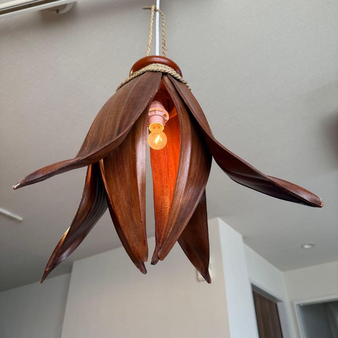 【2個セット】ココナッツリーフライト