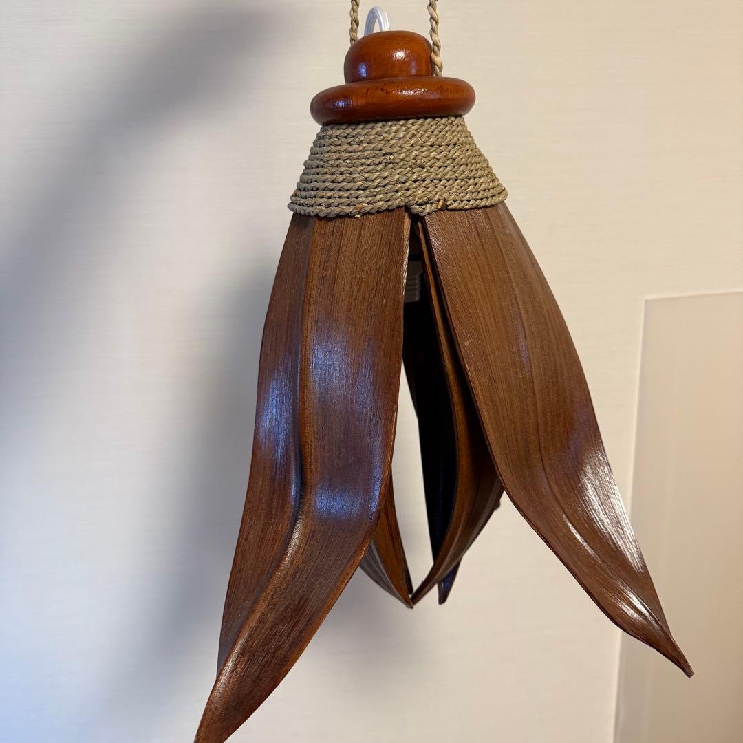 【2個セット】ココナッツリーフライト