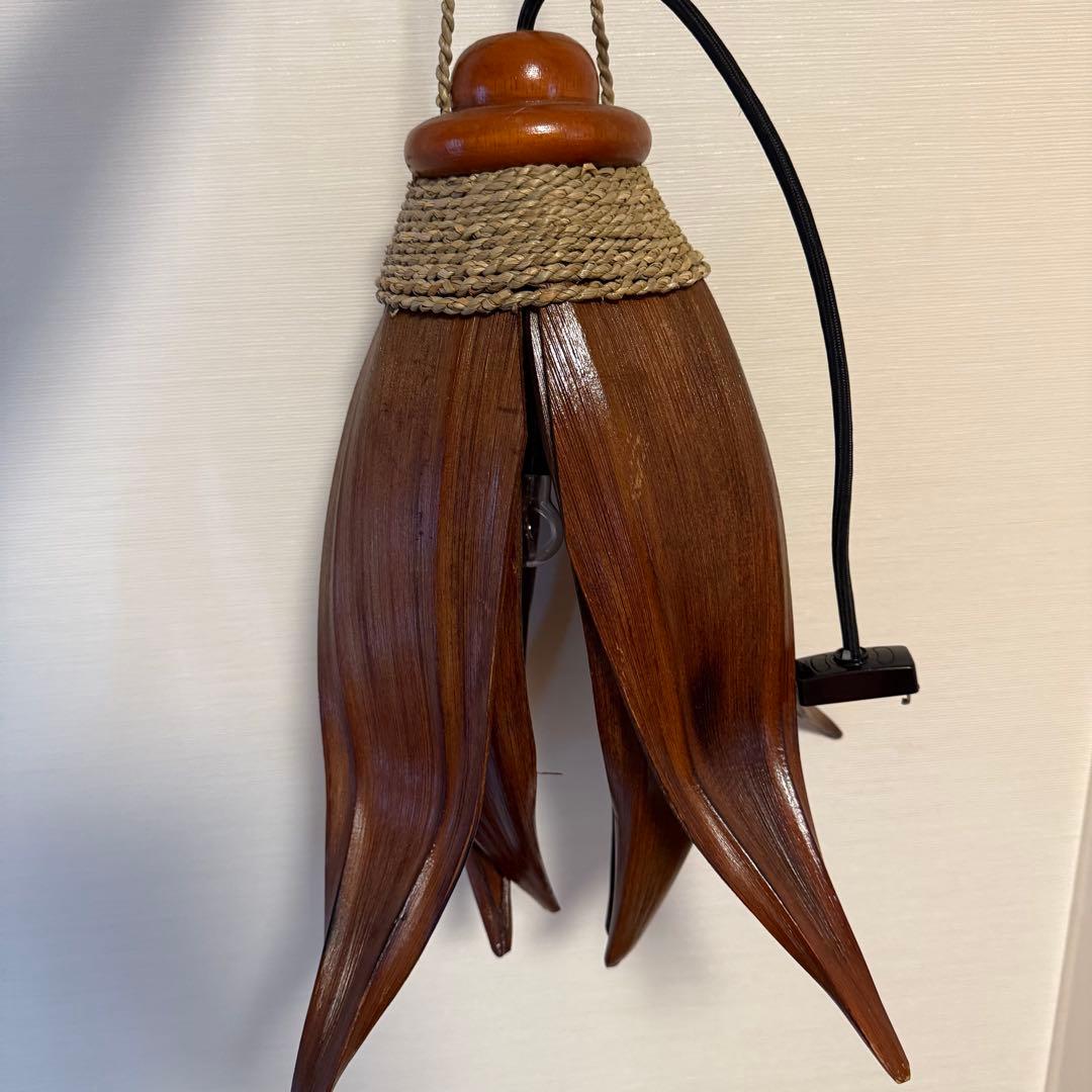 【2個セット】ココナッツリーフライト