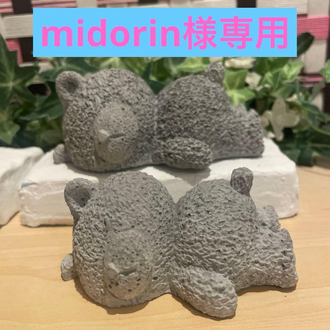 midorin★モルタル雑貨　（お任せ植物付き）