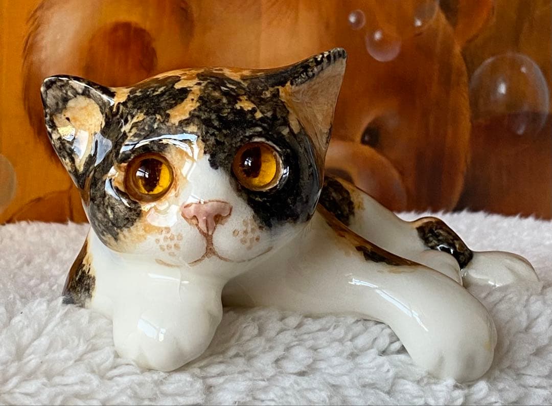 サイズ2　ウィンスタンレイキャット　ケンジントンキャット　三毛猫仔猫