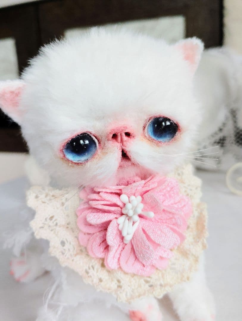 うるるんオメメ♡エキゾチック子猫ちゃん♡アートドール♡ぬいぐるみ♡