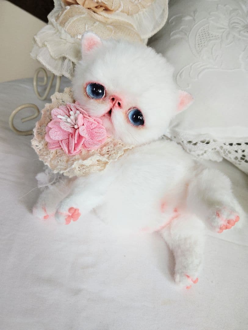 うるるんオメメ♡エキゾチック子猫ちゃん♡アートドール♡ぬいぐるみ♡