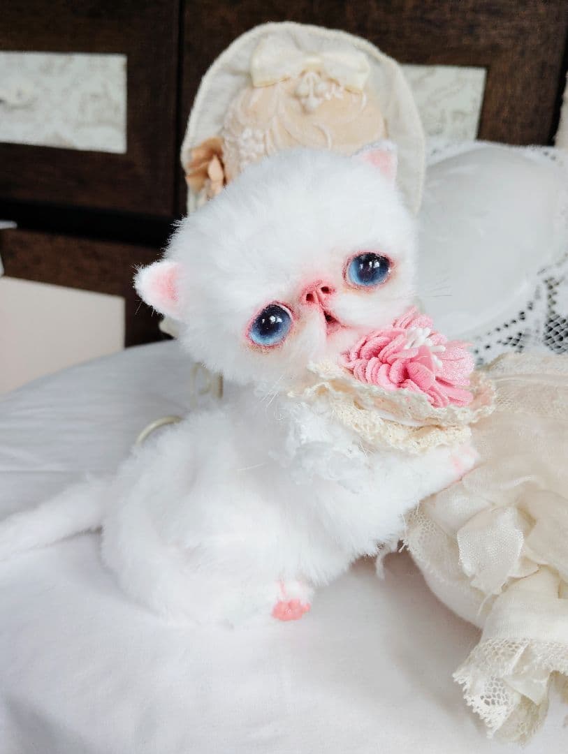うるるんオメメ♡エキゾチック子猫ちゃん♡アートドール♡ぬいぐるみ♡