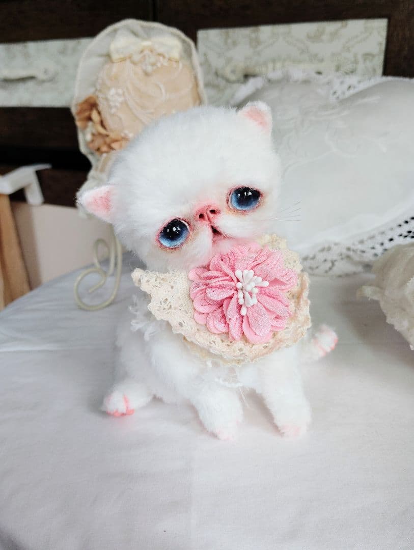 うるるんオメメ♡エキゾチック子猫ちゃん♡アートドール♡ぬいぐるみ♡