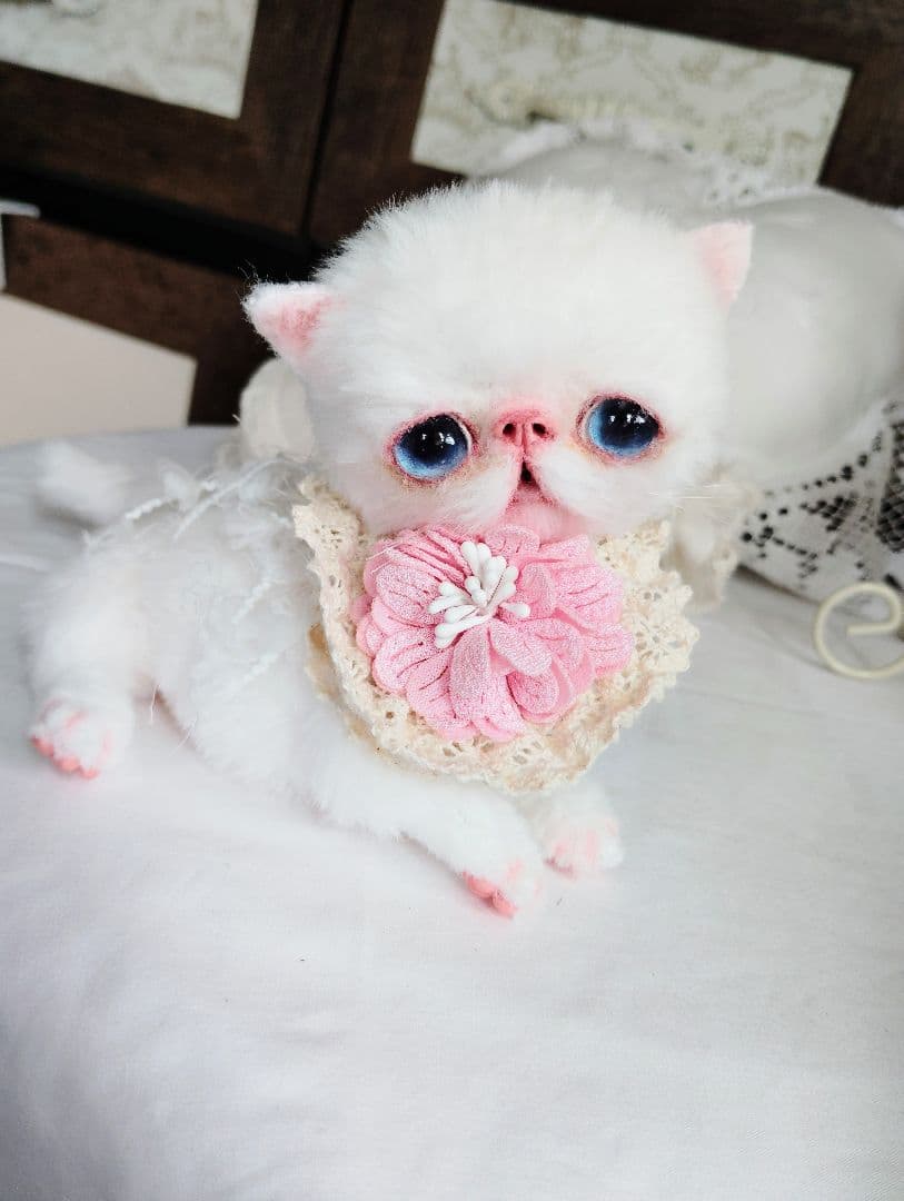 うるるんオメメ♡エキゾチック子猫ちゃん♡アートドール♡ぬいぐるみ♡