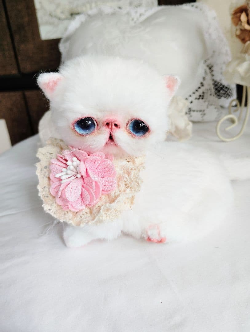 うるるんオメメ♡エキゾチック子猫ちゃん♡アートドール♡ぬいぐるみ♡