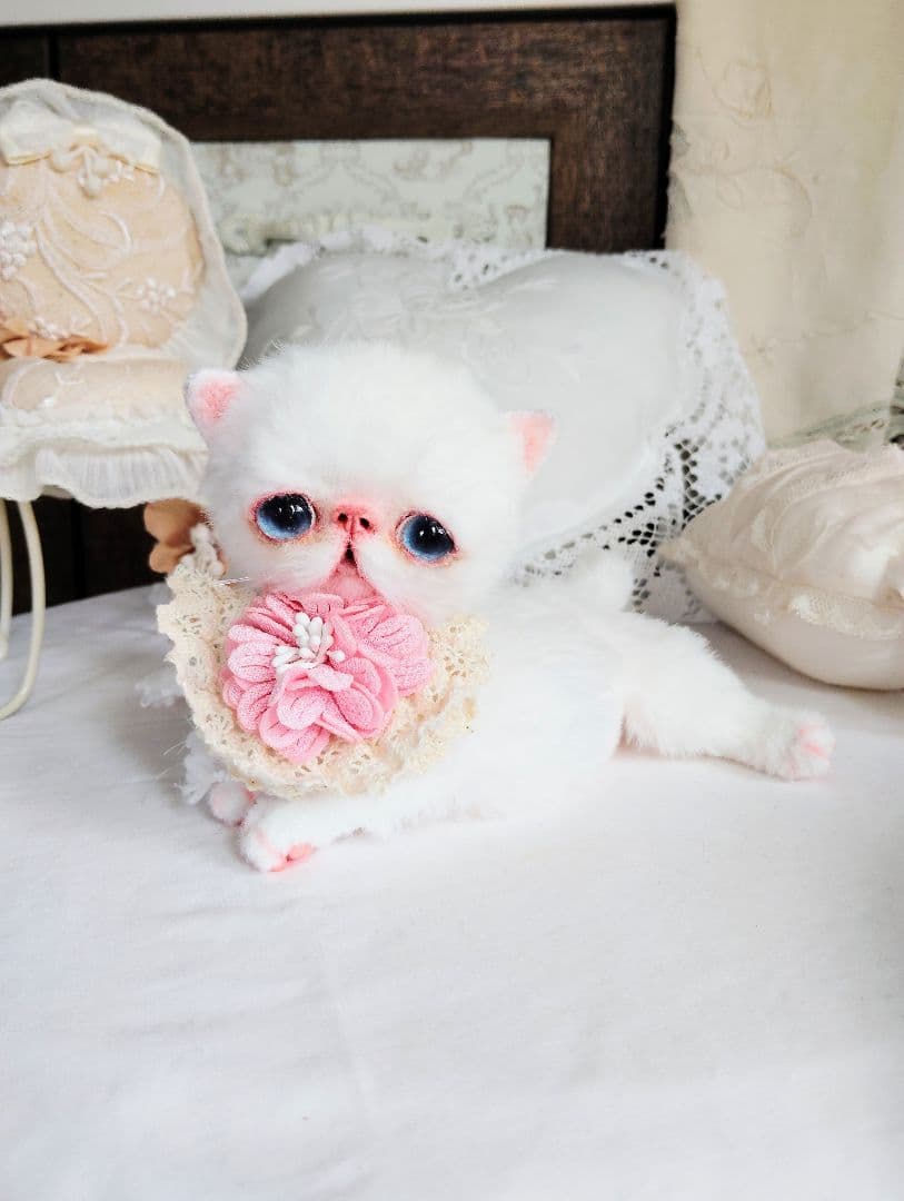 うるるんオメメ♡エキゾチック子猫ちゃん♡アートドール♡ぬいぐるみ♡