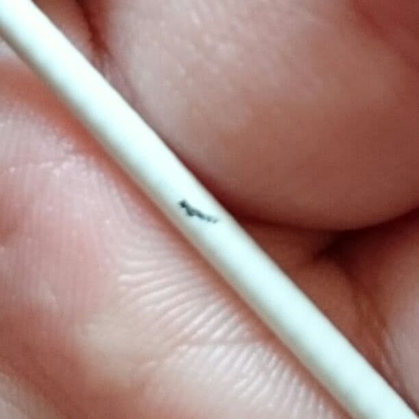 宇崎日清 ベルダンディβ 8f