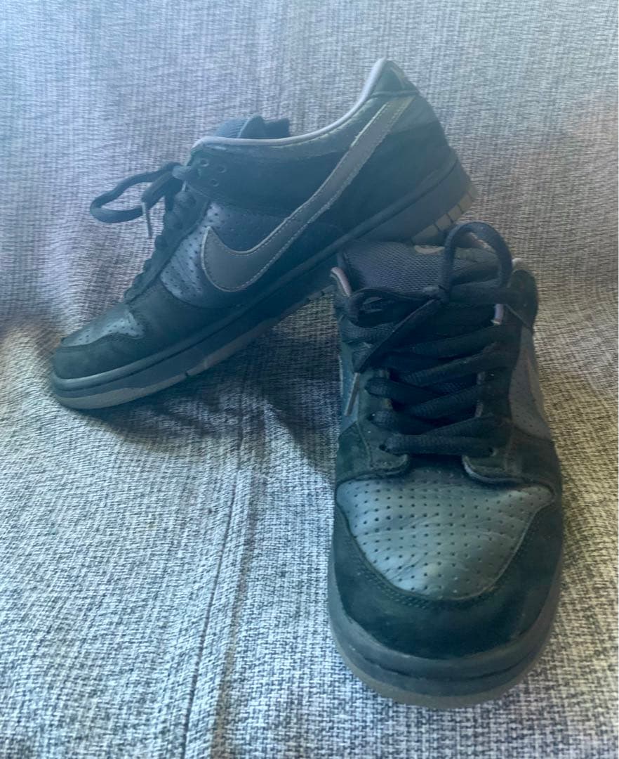 スケートボード Nike Dunk SB Pro \