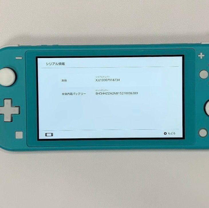 Nintendo Switch Lite 本体 動作品 2019