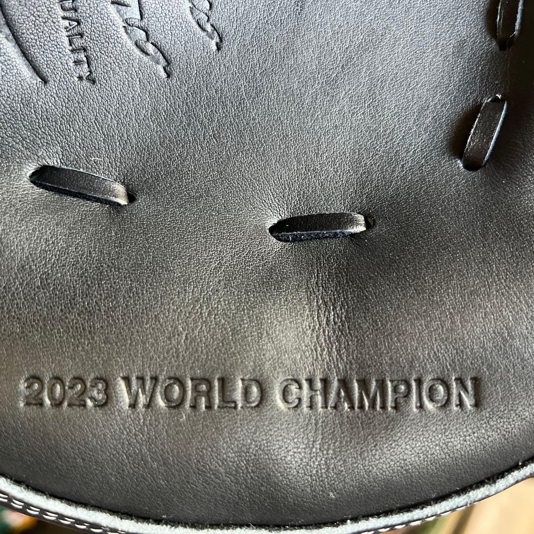 19【巨人・大城型】　ミズノプロ　硬式　捕手用　キャッチャーミット　グラブ