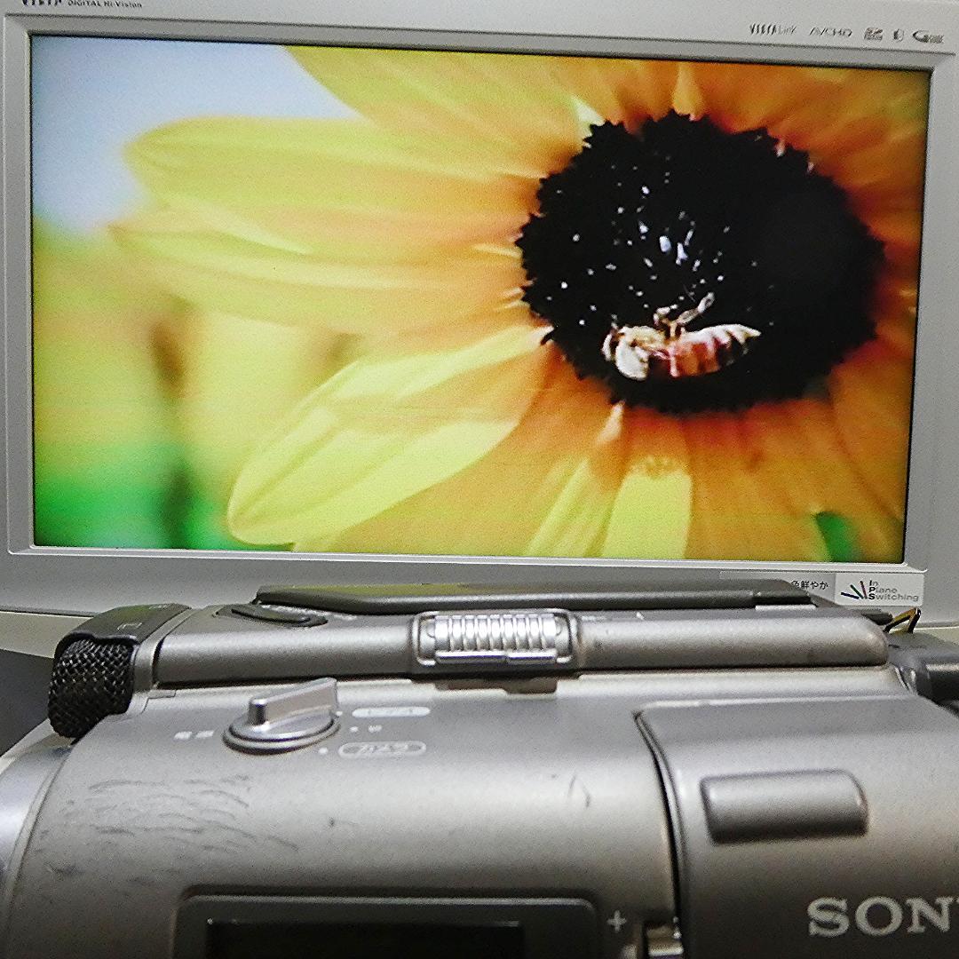 動作良好 VideoHi8 ソニーCCD-TR2　8ミリビデオ　DVD化に最適
