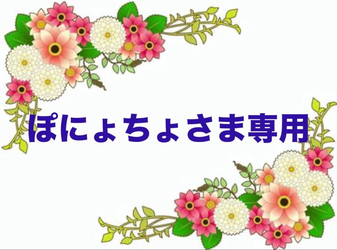 ぽにょちょさま専用