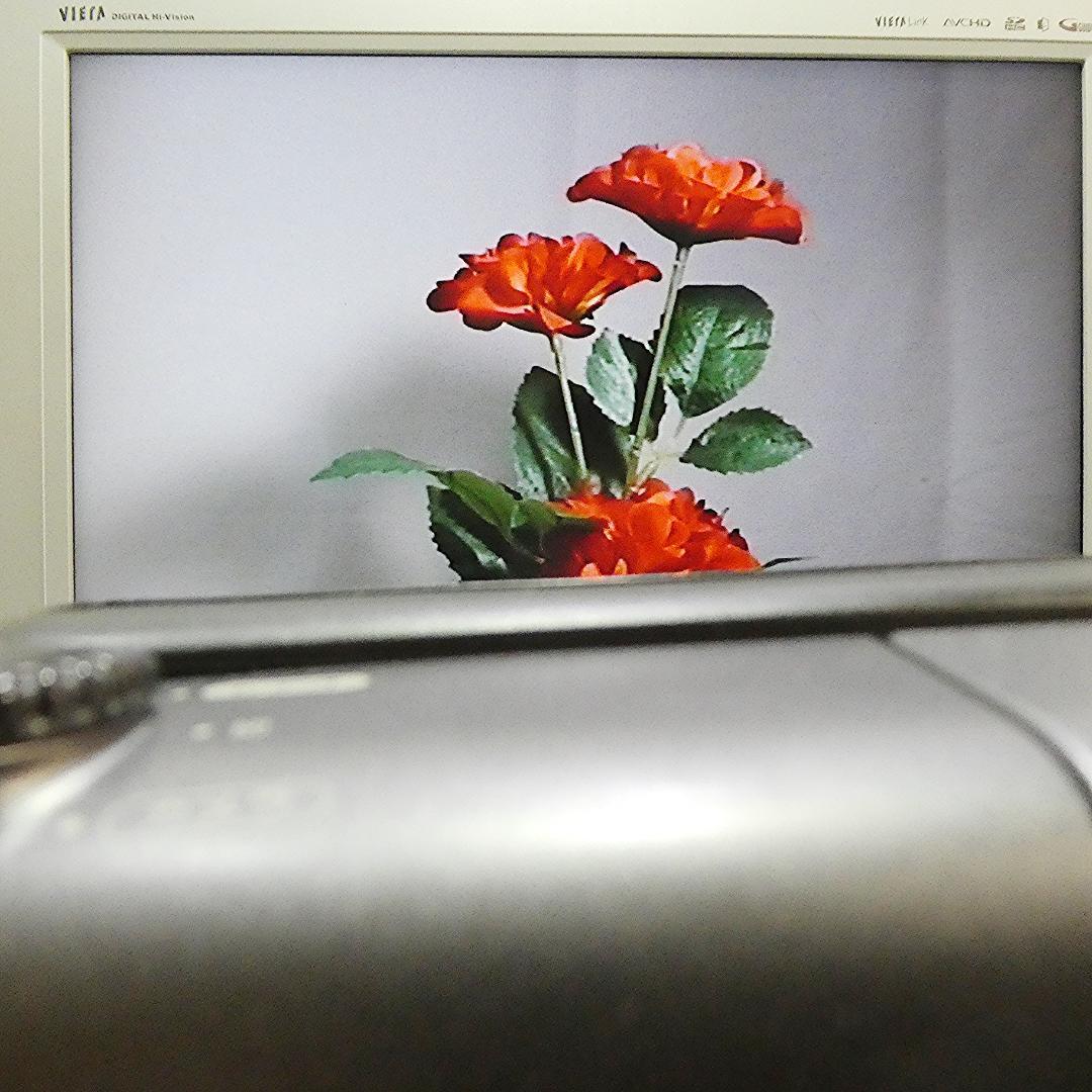 動作良好 ソニーVideoHi8 CCD-TR11 8ミリビデオ　DVD化に最適