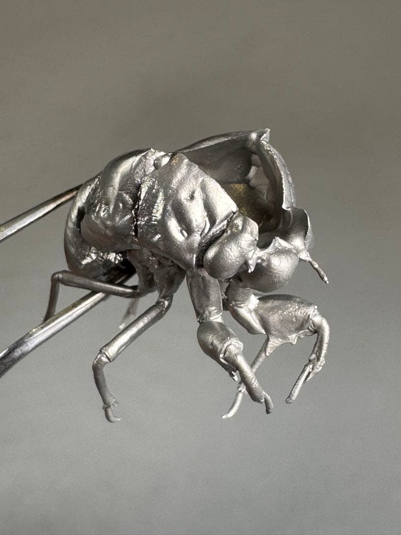 蝉　蝉の抜け殻　セミ　オブジェ　虫好き　金属製　標本