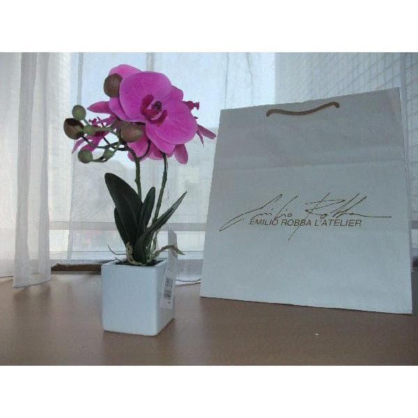 エミリオロバ EMILIO ROBBA　2本立て胡蝶蘭　未試用品
