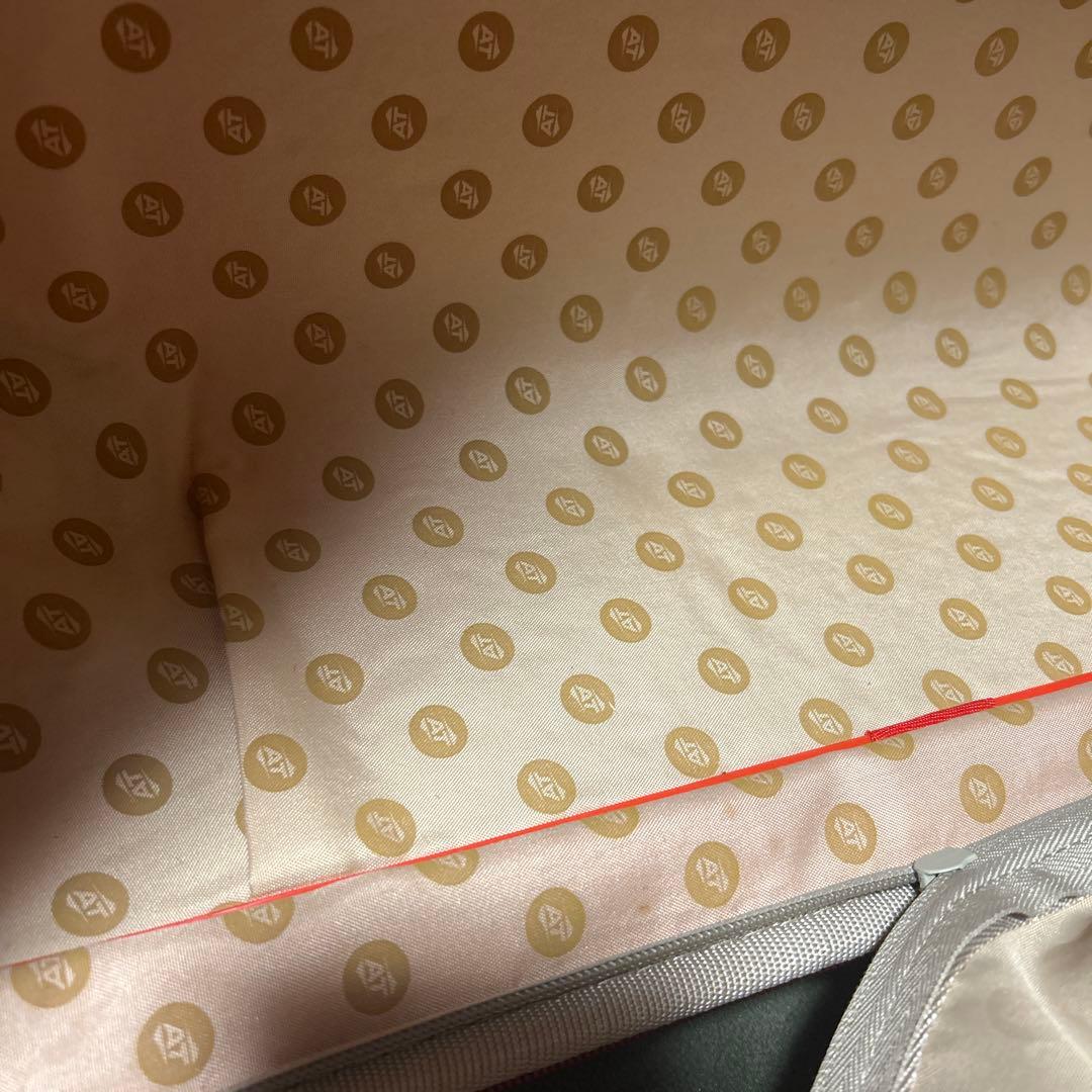 最終11日迄セール⭐️American Tourister Chic スーツケース