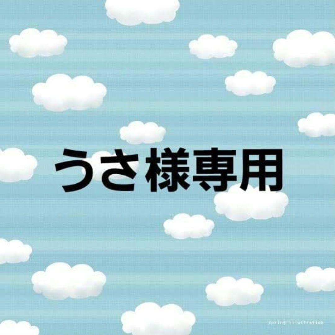 うさ　バイアステープ　【80m/25mm/ノーマルベージュ/チェック】