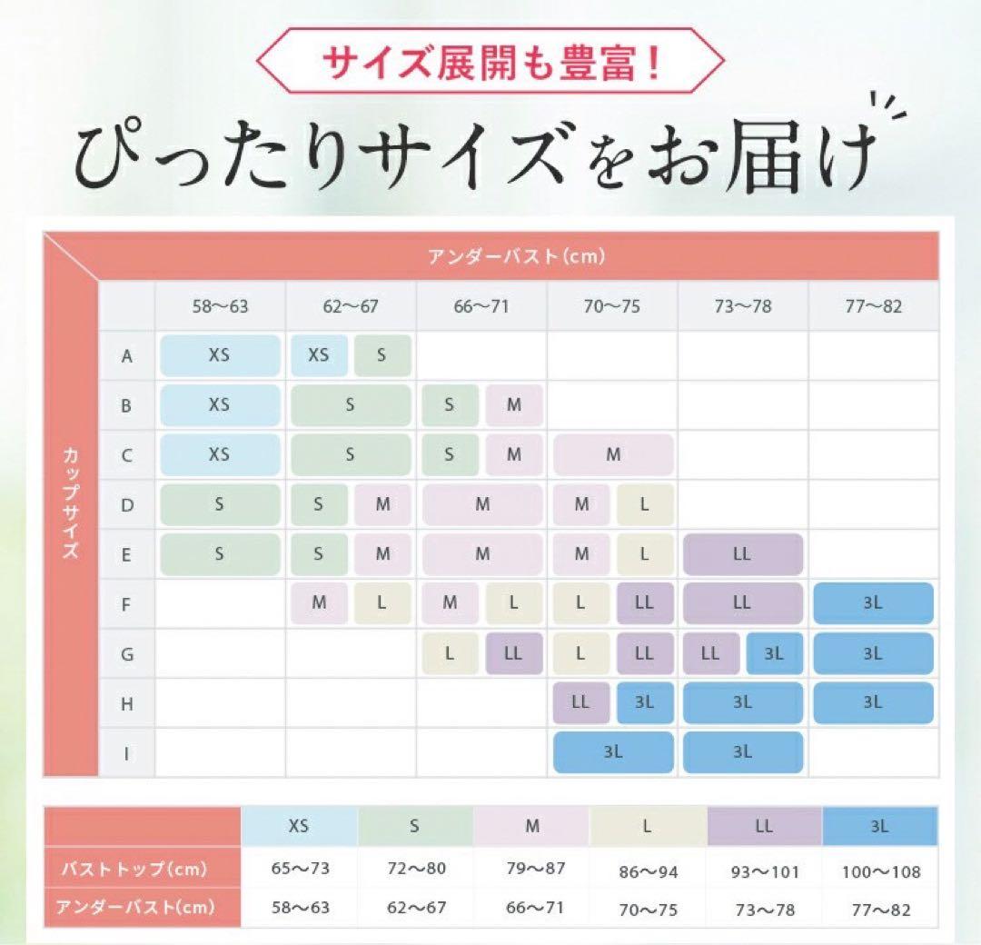 PGブラ　益若つばさ　ナイトブラ　ブラック　LL