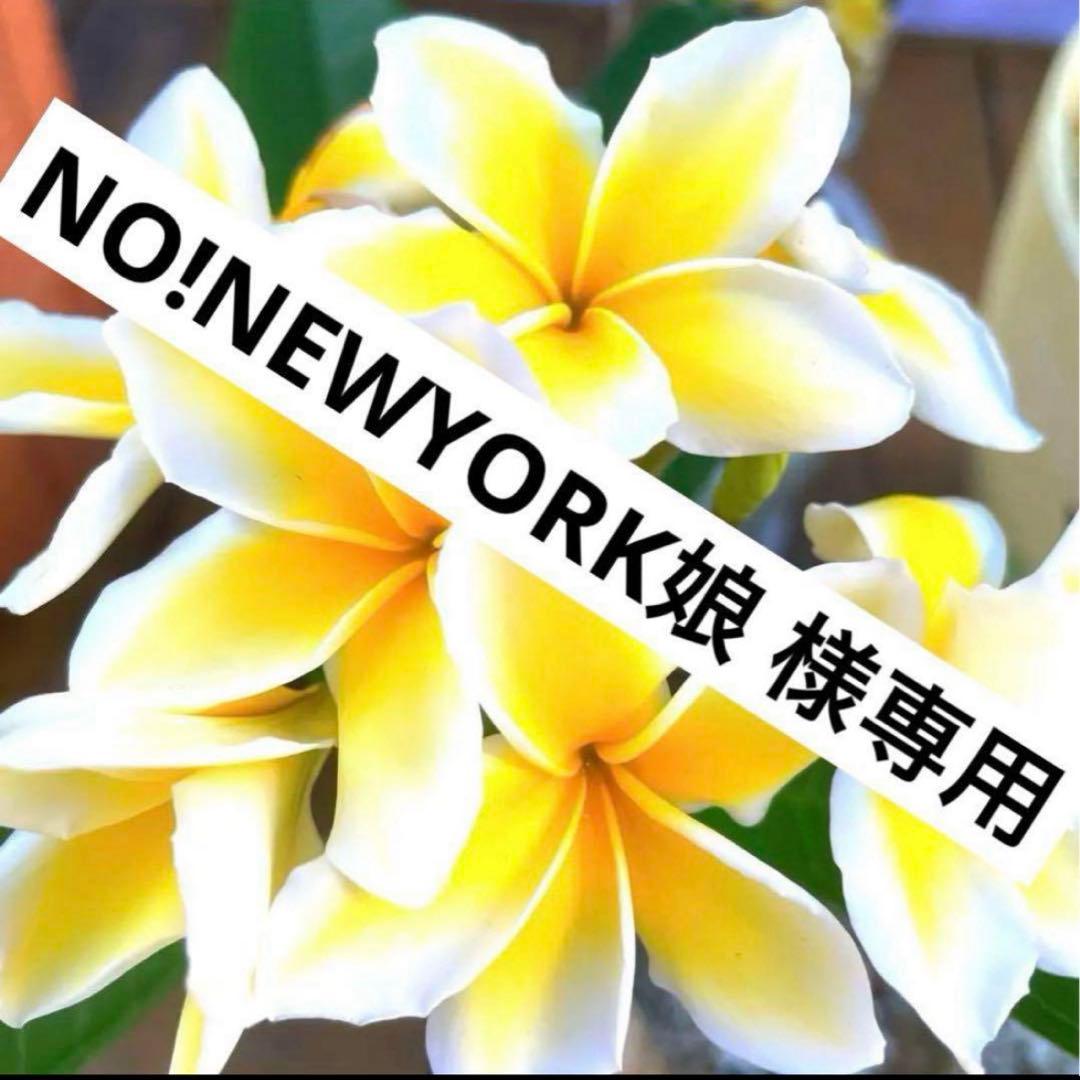 NO!NEWYORK娘 出品 おまとめエスカーダセット