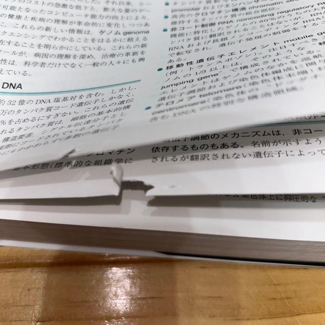 ロビンス基礎病理学　原書10版