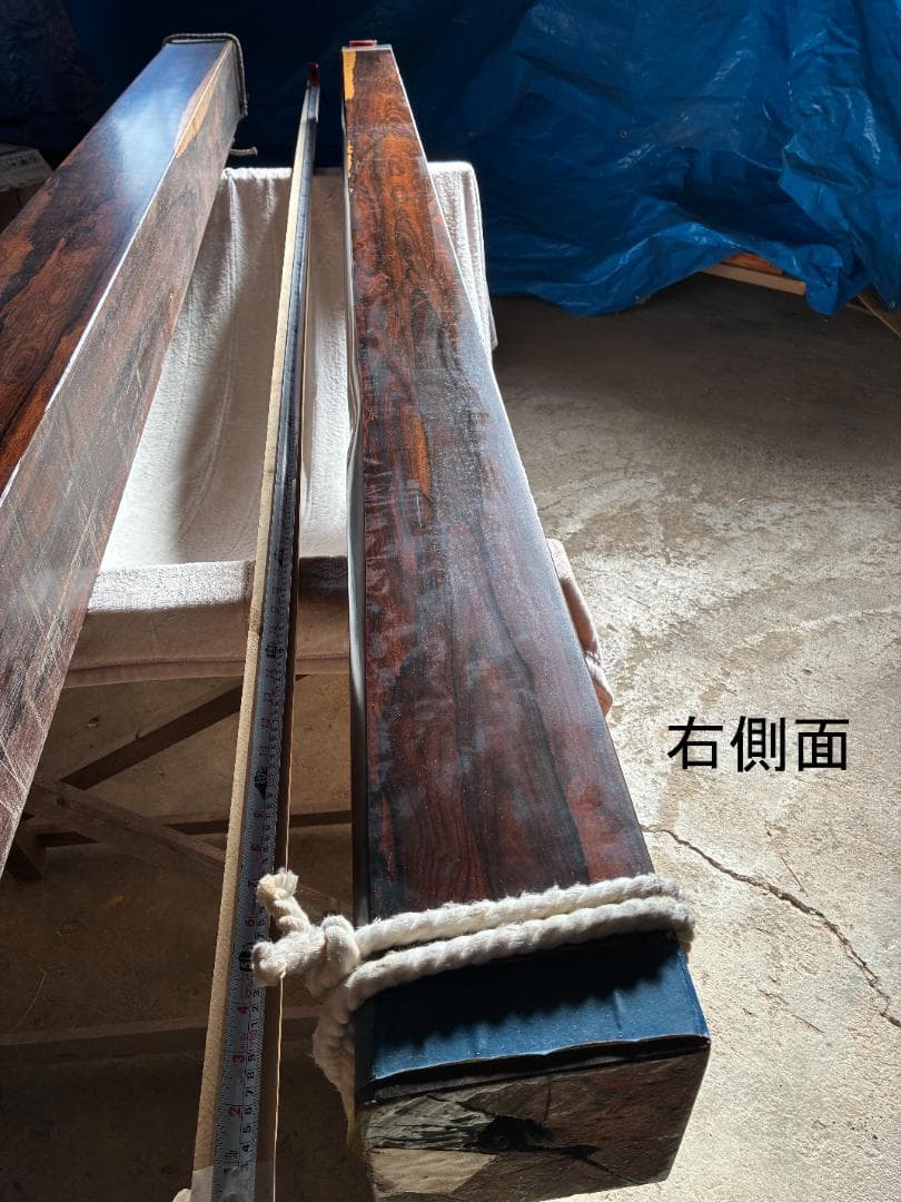 床柱　シャム柿　5.5寸（16.5ｃｍ）