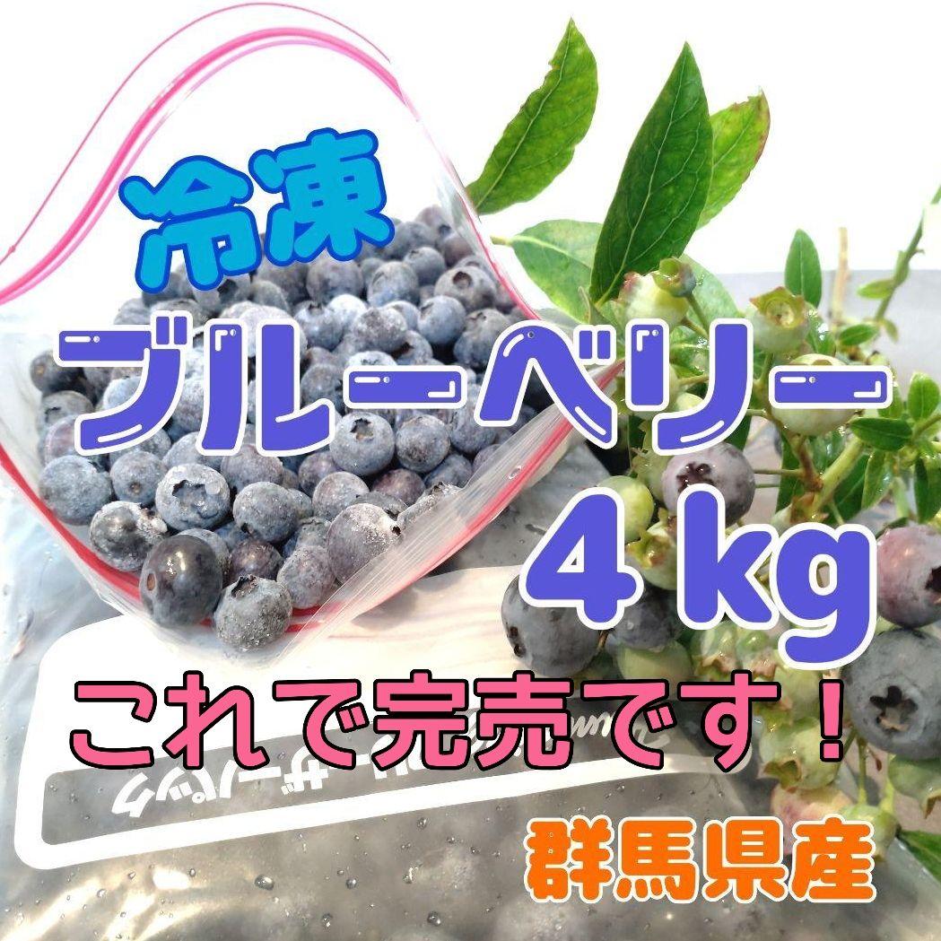 もうすぐ完売！ 冷凍ブルーベリー 4kg