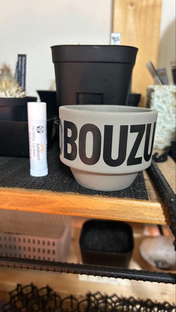 VALIEM バリエム　aobouzu 鉢