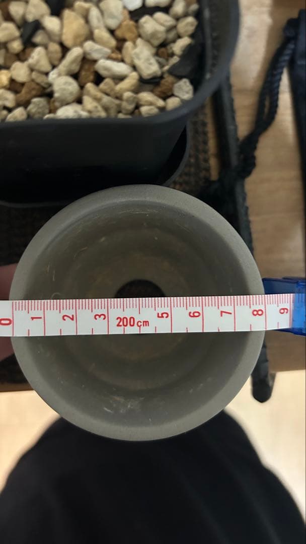 VALIEM バリエム　aobouzu 鉢